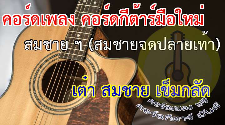 (ไม่แน่จริงไม่มาหรอก)

ถึงได้ชื่อสมชายตลอด

(ไม่แน่จริงไม่มาหรอก)

ถึงได้ชื่อสมชายตลอด


(ดนตรี)  


                                
**  จะให้ฉันเป็นแบบไหน (ตามใจเธอแค่ขอให้บอก) 

                                
      ให้เป็นพี่ได้เลยน้อง (พร้อมดูแลเทคแคร์ตลอด)

                                   
      ให้เป็นเพื่อนก็ยิ่งมัน (พร้อมจะเฮ้วตามกันได